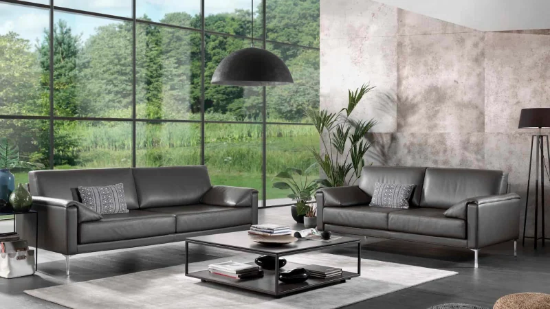 Zetel Boston van Cammers
