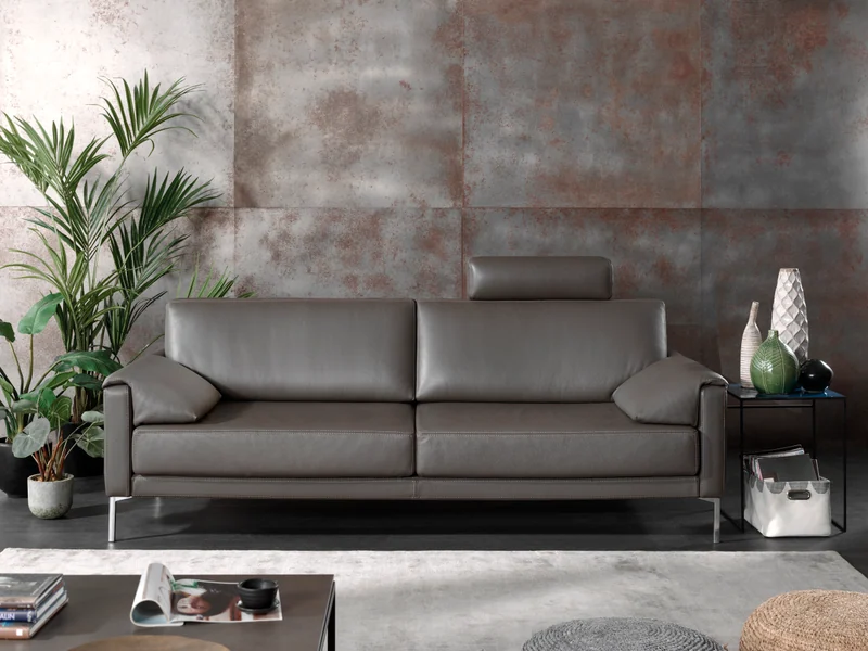 Zetel Boston van Cammers (2)