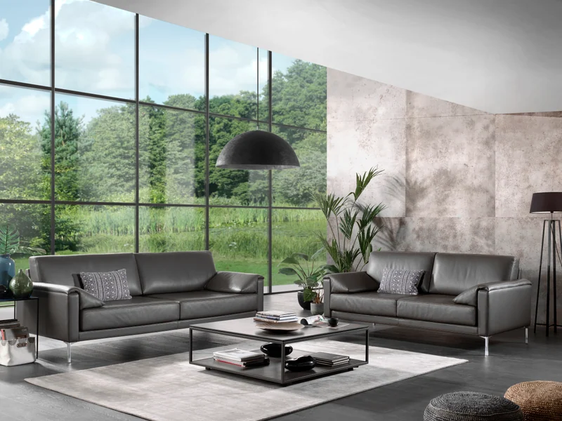 Zetel Boston van Cammers (3)